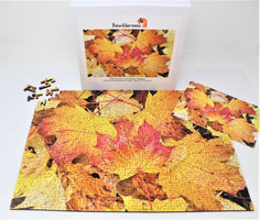 Fall Leaves wooden jigsaw puzzle by Bewilderness, full puzzle with box and some geometric pieces on the side